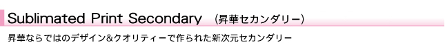 昇華セカンダリーのタイトル